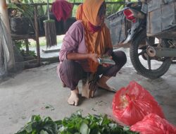 Ibu Tony wanita hebat penjual Sayuran Keliling di Tj Krosok