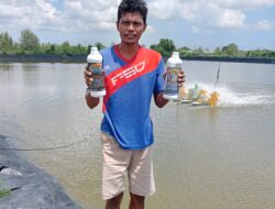 Mas Hery Bertranformasi : dari Karyawan PT WM Ke Desa Pertambakan ADI WARNA Bratacena Tulang Bawang Yg Sukses