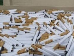 1000 an bungkus Rokok ilegal Di Batam di gagalkan Oleh Bea Cukai