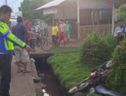 Kecelakaan Tungga Di Lamtim Di Desa Srimenanti Tewas