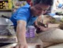 Tingginya Harga Gabah Di Lampung sehingga Harga Beras pasti  ikut Naik