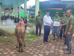 Ketua IKT Kabupaten Mimika Yusuf Rombe Sumbang 3 Ekor Sapi di 3 Masjid Timika