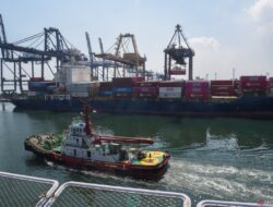 Ekonom proyeksikan surplus perdagangan RI capai 2,74 miliar dolar AS